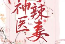 完结版《神医小辣妻》免费阅读-艾米文学