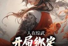完结版《人在综武，开局绑定嘲讽曝光系统》免费阅读-艾米文学