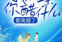 都离婚了，我相亲你醋什么常宁洛商司小说免费阅读-艾米文学