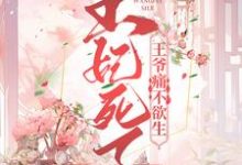 完结版《王妃死了,王爷痛不欲生》章节阅读-艾米文学