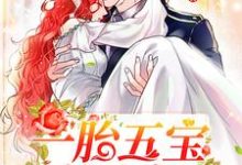 求一胎五宝找上门小说免费资源-艾米文学