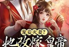 宠妾灭妻？她改嫁皇帝生皇子小说最新章节在哪里可以读到？-艾米文学