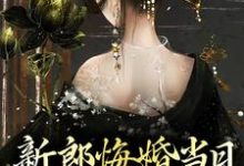 小说《新郎悔婚当日,我闪》在线章节阅读-艾米文学