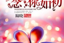 主角雅念宋彧宋瀛小说我心如故,念你如初免费阅读-艾米文学