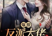在线寻找爆撩!反派大佬别太爱小说的无删减版本-艾米文学