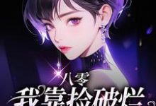 《八零：我靠捡破烂养娃当寡妇》小说主角沈佳柔孟岸廷章节章节免费在线阅读-艾米文学