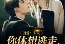 叶舟聂修衍为主角的小说好看吗？免费读囚爱：夫人，你休想逃走我的手掌心-艾米文学