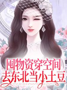 囤物资穿空间，去东北当小土豆章节免费在线阅读，连晓敏完结版