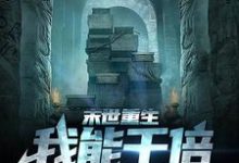 《末世重生，我能千倍增长物资》全集免费在线阅读（吴枫）-艾米文学