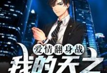 完结版《爱情翻身战:我的天之骄女老婆》免费阅读-艾米文学