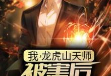 完结版《我，龙虎山天师，被害后傻了三年？》章节阅读-艾米文学