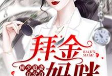 拜金妈咪:顾少追妻百分百这本小说怎么样?免费在线阅读试试-艾米文学