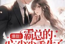 叶筱汐霍逸寒的故事在哪本书里？免费阅读爆甜！霸总的心尖尖重生了-艾米文学