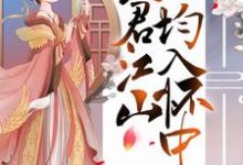 免费在线阅读替嫁医妃:夫君江山均入怀中小说的正规网站有哪些?-艾米文学