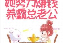 闪婚后,她努力赚钱养霸总老公小说,闪婚后,她努力赚钱养霸总老公免费阅读-艾米文学