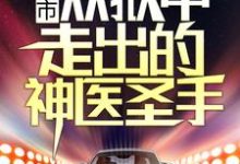 燕宸秦韵为主角的小说好看吗？求都市：从狱中走出的神医圣手免费试读-艾米文学