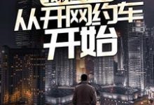 全职业巨星：从开网约车开始小说无弹窗阅读的网站推荐-艾米文学