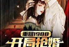 重回1988，开局抢婚抱得美人归小说，重回1988，开局抢婚抱得美人归章节在线阅读-艾米文学