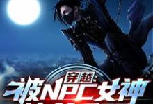 穿越：被NPC女神追杀千里小说有没有完结版在线？-艾米文学