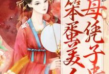 后宫：笨蛋美人母凭子贵小说阅读，后宫：笨蛋美人母凭子贵完结版-艾米文学