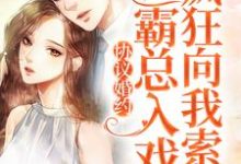 主角叫宋逾白黎晚意的小说在哪阅读-艾米文学