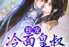 苏锦陆衍为主角的小说好看吗？求独宠：冷面皇叔求亲亲免费试读-艾米文学