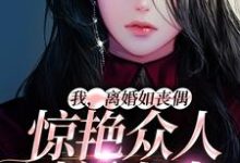 我，离婚如丧偶，惊艳众人过新人生桑知语沈辞，我，离婚如丧偶，惊艳众人过新人生小说免费阅读-艾米文学