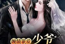 缠情罪爱：少爷，夫人逃跑了小说有没有完整的免费版本在线阅读？-艾米文学