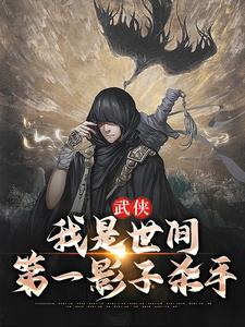男女主人公王易小说武侠：我是世间第一影子杀手章节免费阅读
