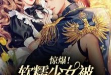 在线寻找惊爆！软糯少女被病娇霸总独占了小说的无删减版本-艾米文学