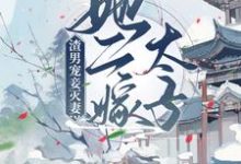 小说《渣男宠妾灭妻？她二嫁太子》在线章节阅读-艾米文学
