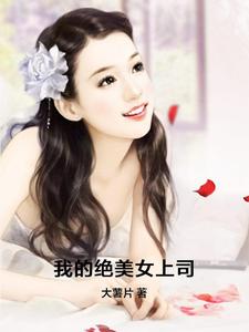 我的绝美女上司小说，我的绝美女上司章节在线阅读