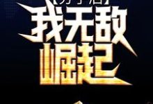 小说《分手后，我无敌崛起》在线章节阅读-艾米文学
