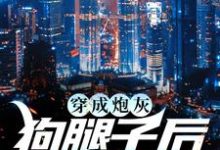 完结版《穿成炮灰狗腿子后我暴富了》在线免费阅读-艾米文学