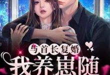 求与首长复婚，我养崽随军都可行小说的全文免费阅读链接-艾米文学