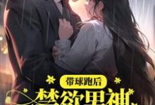带球跑后，禁欲男神把持不住了章节免费在线阅读，苏枝陆九城完结版-艾米文学