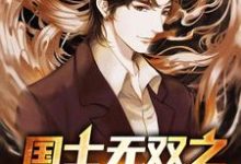 国士无双之强者归来小说全文哪里可以免费看?-艾米文学