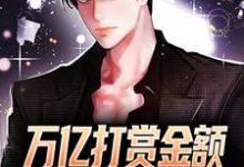 小说《万亿打赏金额，神豪身份藏不住》章节免费阅读-艾米文学