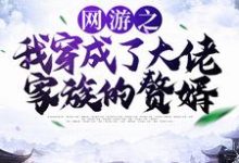 林度宁风雅的小说在哪里看？免费在线阅读网游之我穿成了大佬家族的赘婿-艾米文学