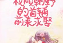 求丧偶当天，权倾朝野的首辅前来求娶小说的全文免费阅读链接-艾米文学