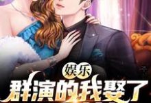 张凡秦冰的故事在哪本书里？免费阅读娱乐：群演的我娶了国民女神-艾米文学