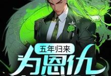 小说《五年归来，为恩仇快意都市》在线章节阅读-艾米文学