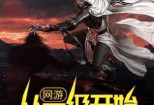 已完结小说《网游：从一级开始秒天秒地》最新章节-艾米文学