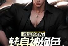 完整版的被逼离婚后,转身被绝色总裁带回家小说在哪里可以免费读到?-艾米文学