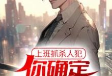 主角徐麟苏小七小说上班抓杀人犯，你确定他是交警？免费阅读-艾米文学