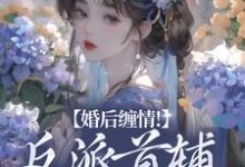 婚后缠情!反派首辅为我痴狂小说的最新章节在哪里更新?免费追踪阅读-艾米文学