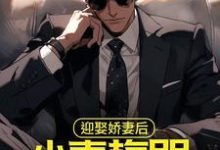 迎娶娇妻后，小青梅哭着来找我小说完结版章节免费阅读-艾米文学