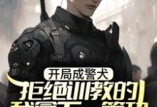 林云小说在哪里可以看-艾米文学