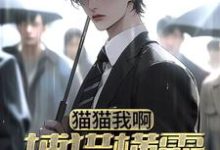《猫猫我啊,捕猎横霸都市了》小说章节列表免费试读,林凡李诗诗小说在线阅读-艾米文学