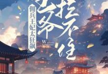 免费在线阅读佣兵王妃太狂飙，王爷拦不住！小说的正规网站有哪些？-艾米文学